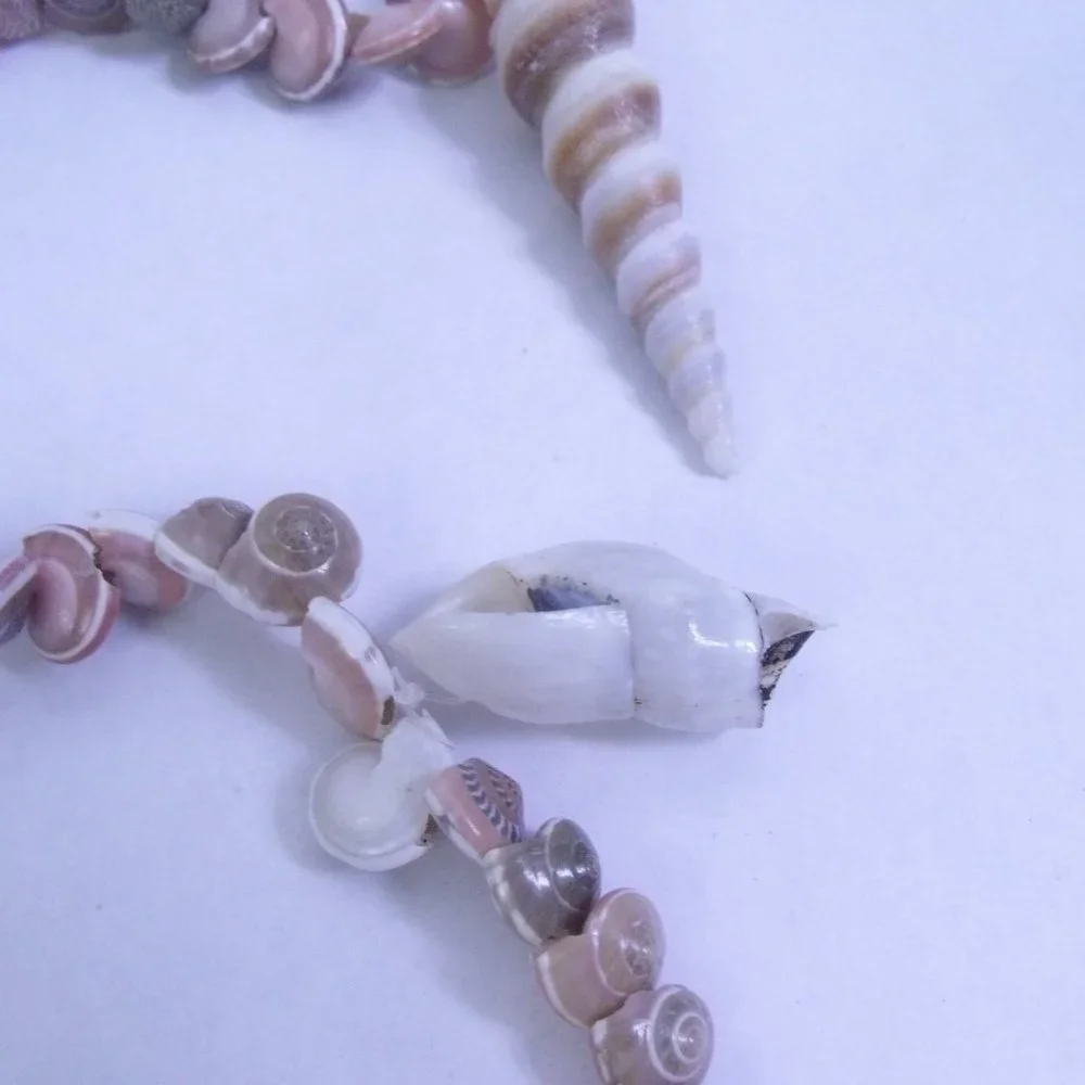 Seashell Umbonium Shell Garland